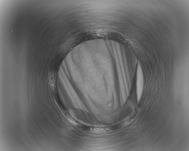 X0000067860129200605041751