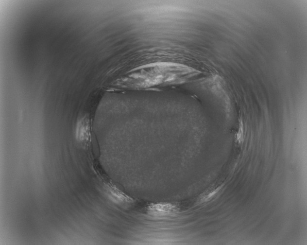 X0000067860137200605041751