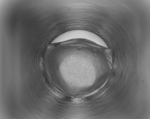 X0000067860141200605041751