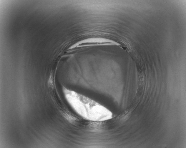 X0000067860143200605041751
