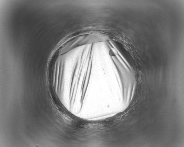 X0000067860150200605041750