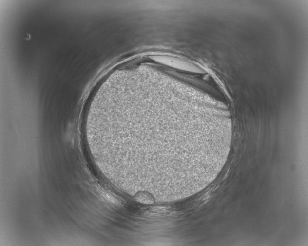 X0000067860151200605041750