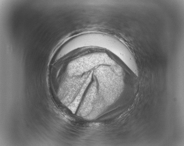 X0000067860152200605041750