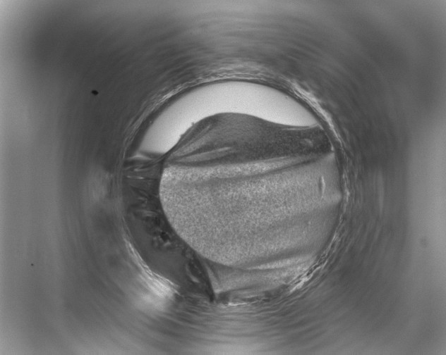 X0000067860154200605041750
