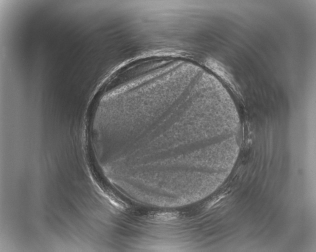 X0000067860156200605041750