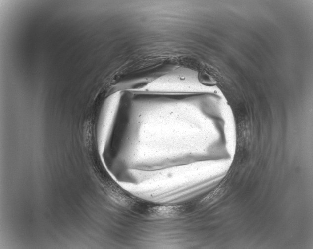 X0000067860184200605041751