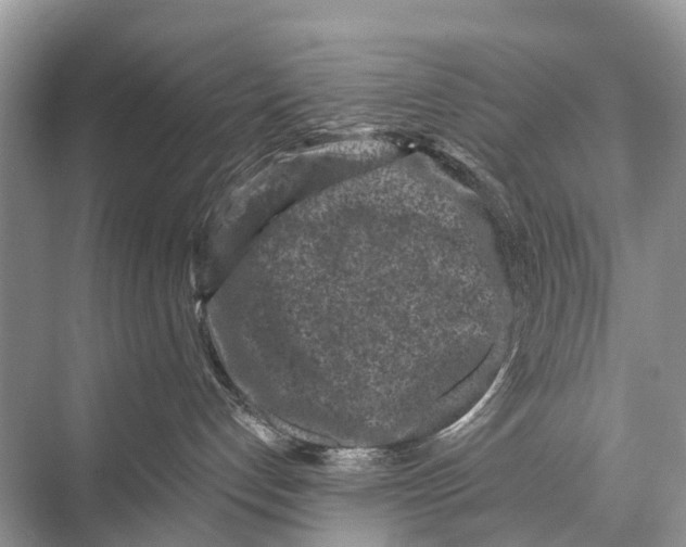 X0000067860192200605041751