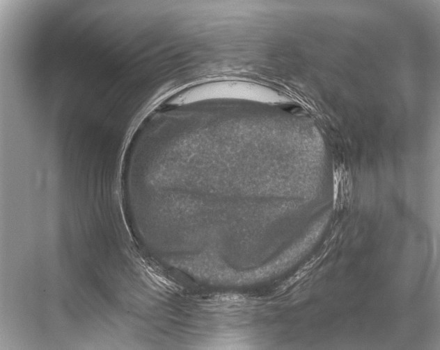 X0000067860195200605041750