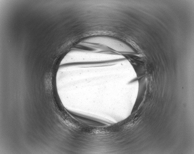 X0000067860207200605041750