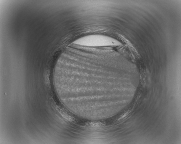 X0000067860209200605041750
