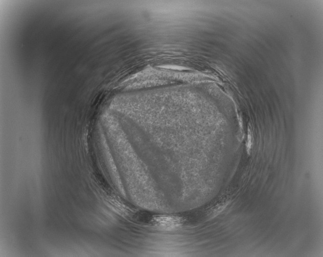 X0000067860221200605041749