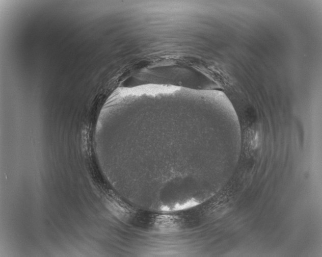 X0000067860222200605041749