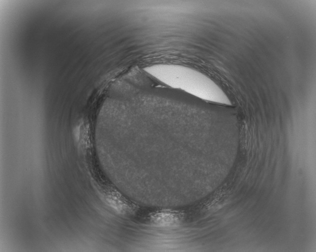X0000067860224200605041749