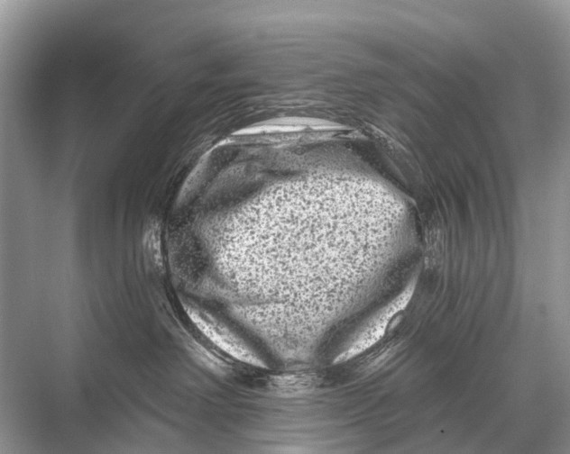 X0000067860238200605041749