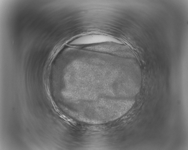X0000067860241200605041748