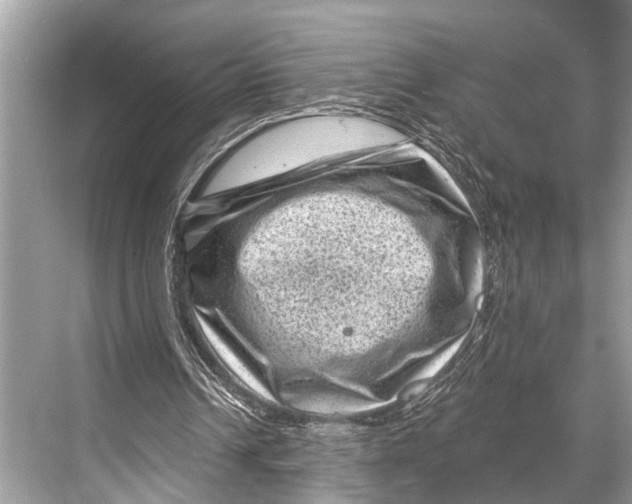 X0000067860242200605041748