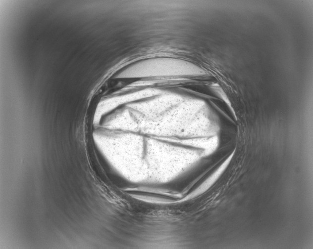 X0000067860244200605041748
