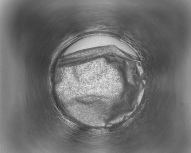 X0000067860245200605041748