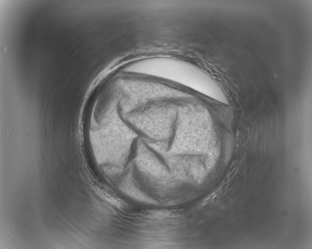 X0000067860246200605041748
