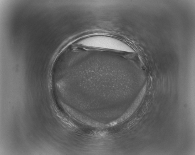 X0000067860247200605041748