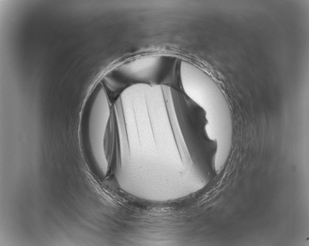X0000067860248200605041748