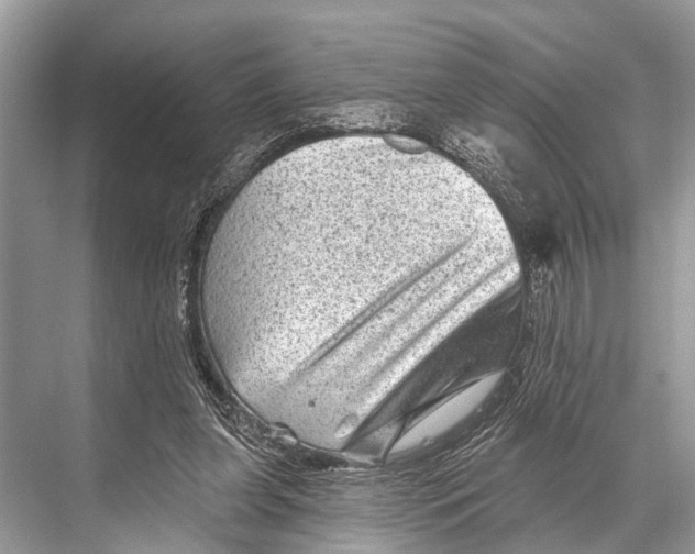 X0000067860255200605041749