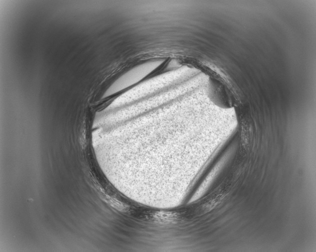 X0000067860261200605041749