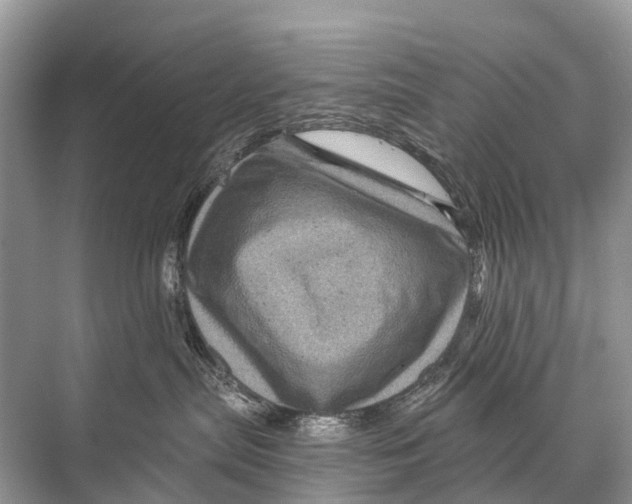 X0000067860287200605041749