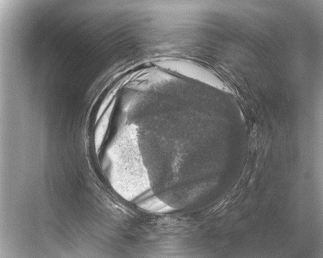 X0000067860290200605041748