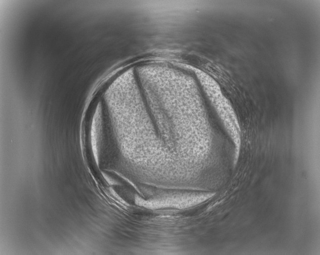 X0000067860294200605041748