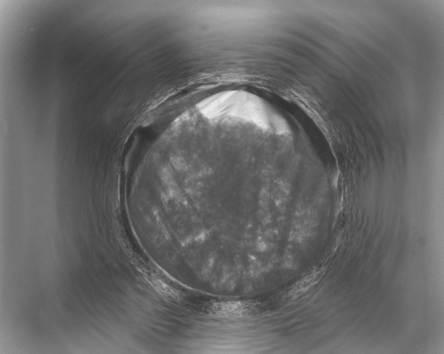 X0000067860301200605041748
