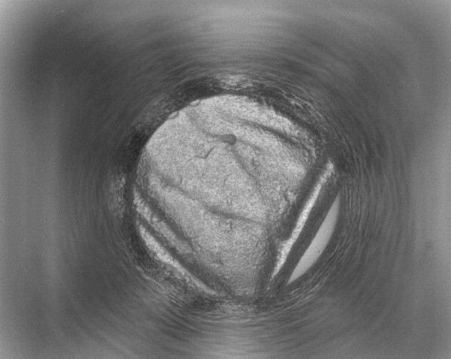 X0000067860319200605041748