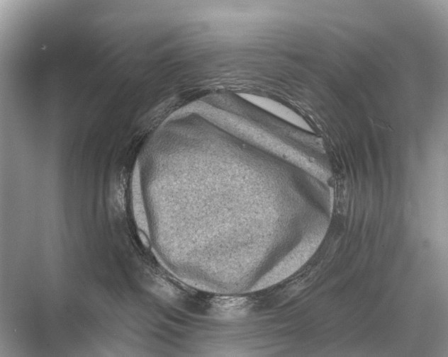 X0000067860334200605041748