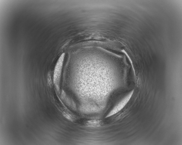 X0000067860335200605041748