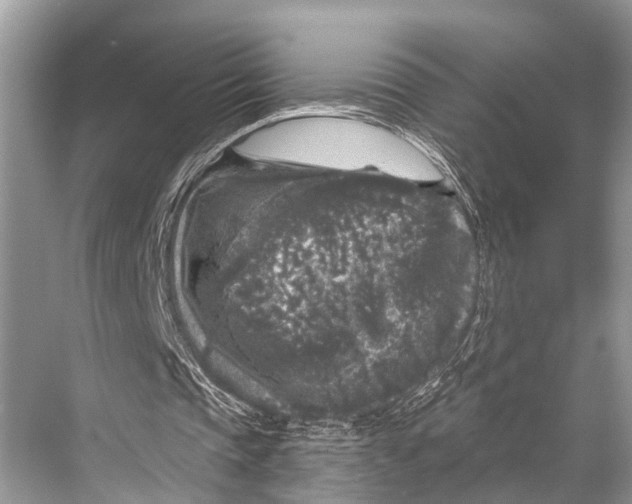 X0000067860337200605041747