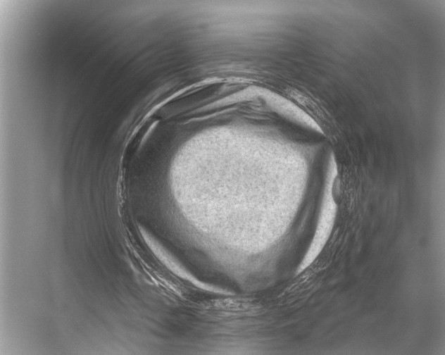 X0000067860338200605041747