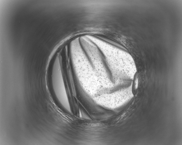 X0000067860342200605041747