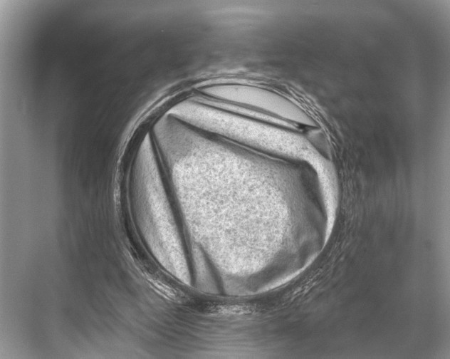 X0000067860344200605041747