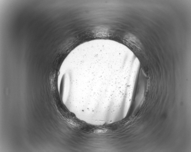 X0000067860364200605041747