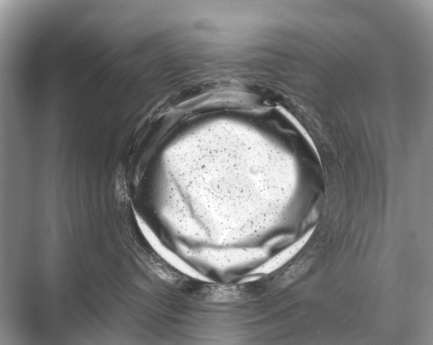 X0000067860384200605041747