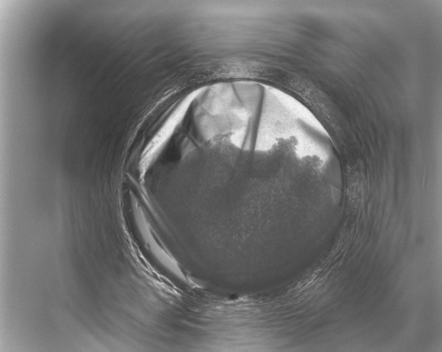 X0000067860386200605041747