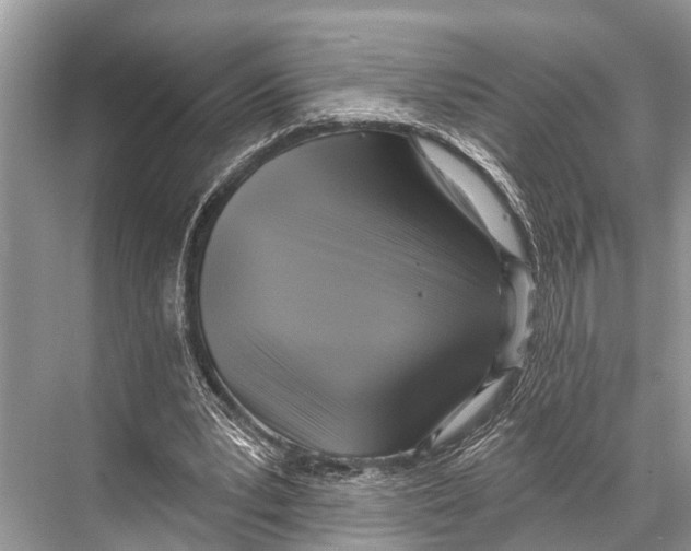 X0000067860391200605041747