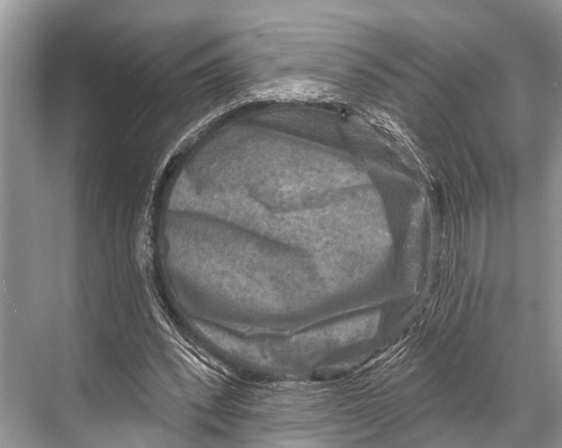 X0000067860392200605041747