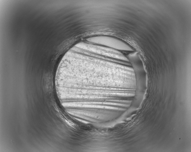 X0000067860397200605041746