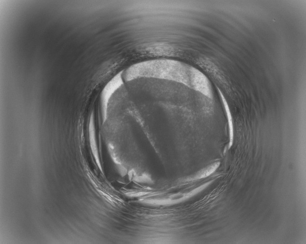X0000067860398200605041746