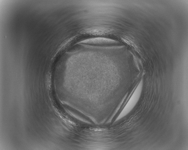 X0000067860400200605041746