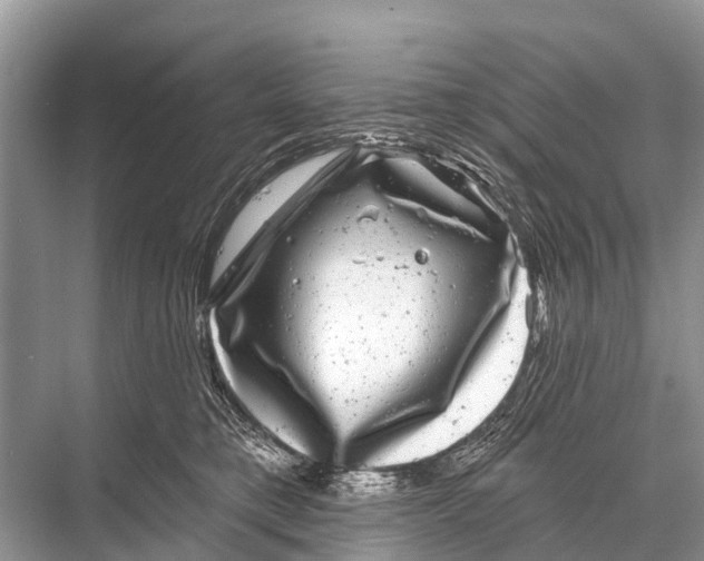 X0000067860421200605041746