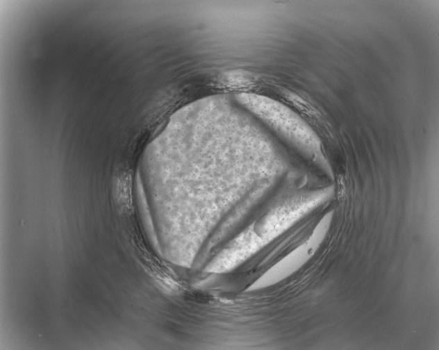 X0000067860425200605041746