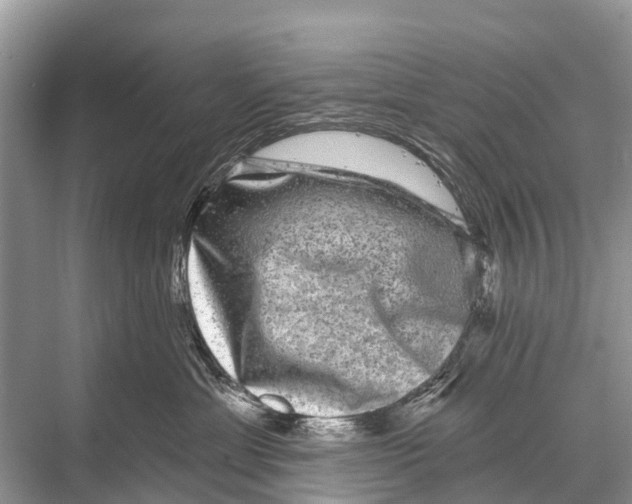 X0000067860429200605041746