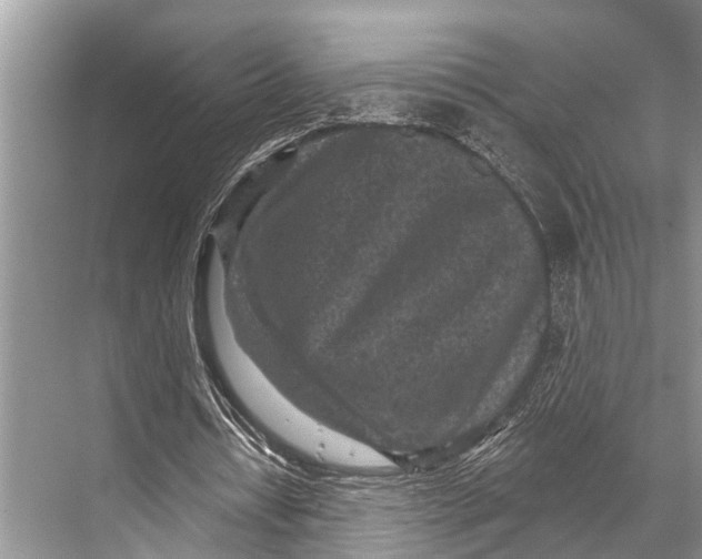 X0000067860434200605041745